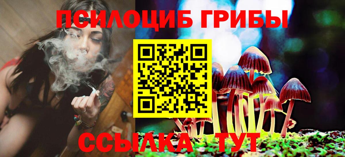 Псилоцибиновые грибы Magic Shrooms Свободный